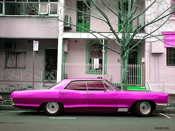 Elevate Your Shots: Mastering Vibrant Colors in Digital Photography