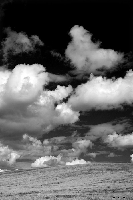 Create Stunning High-Contrast Black & White Skies from Color Landscape Photos in Photoshop