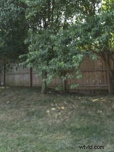 Master Photoshop Levitation: Make Subjects Float or Fly Effortlessly