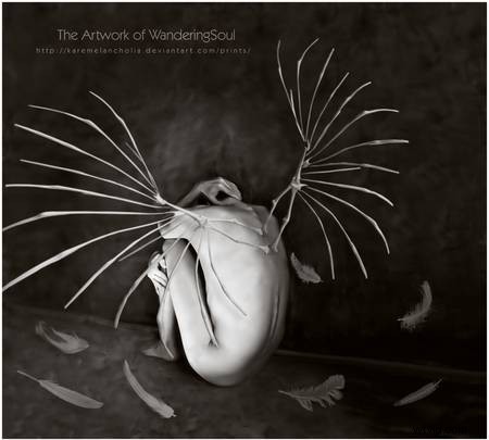 20 Stunning Photo Manipulation Examples That Blend Reality and Illusion