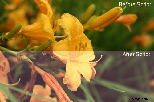 How to Find, Install, and Use GIMP Scripts: Supercharge Your Photo Editing