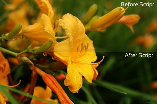 How to Find, Install, and Use GIMP Scripts: Supercharge Your Photo Editing