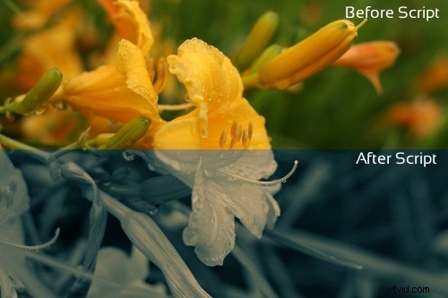 How to Find, Install, and Use GIMP Scripts: Supercharge Your Photo Editing