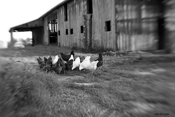 Lensbaby Composer Review: Authentic In-Camera Selective Focus Effects