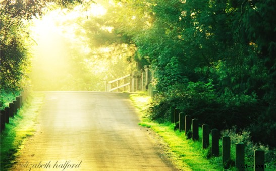 Doublemint: Two Captivating Edits of the Same Vibrant Green Scene