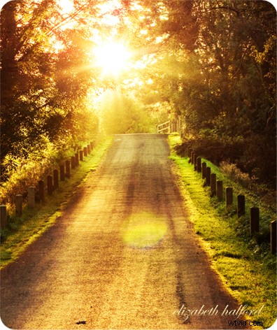 Doublemint: Two Captivating Edits of the Same Vibrant Green Scene