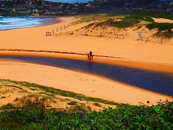 Olympus E-30 DSLR Review: Compact Powerhouse with 12.3MP Sensor