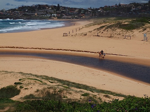 Olympus E-30 DSLR Review: Compact Powerhouse with 12.3MP Sensor