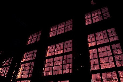 Infrared Digital Photography: A Beginner s Guide to Capturing the Invisible