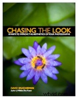 Top 10 Essential Photography E-Books: Expert Recommendations