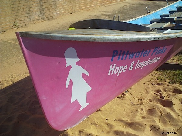 Sony Bloggie MHS-PM5 Review: Compact HD Camcorder That Delivers Big