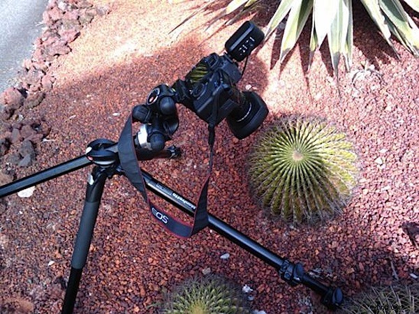 Master Focus Stacking: Achieve Razor-Sharp Depth of Field in Macro Photography