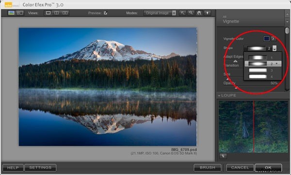 Master Nik Color Efex Pro: Techniques to Draw Viewers into Your Images
