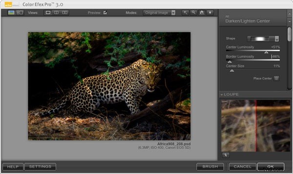 Master Nik Color Efex Pro: Techniques to Draw Viewers into Your Images