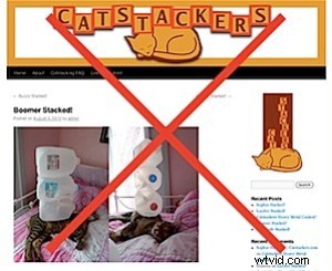 14 Proven Tips to Thrive as a Successful Freelance Photographer