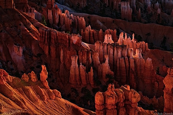 Achieve the Authentic Film Look for Your Digital Photos with Alien Skin Exposure