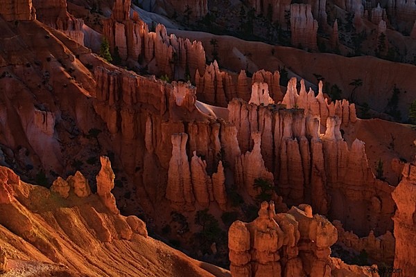 Achieve the Authentic Film Look for Your Digital Photos with Alien Skin Exposure