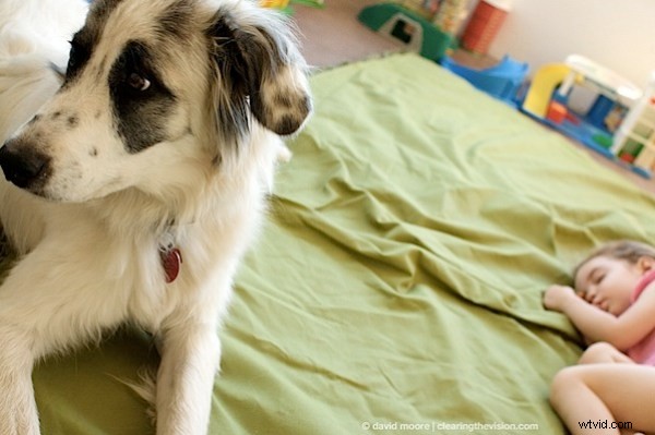 6 Proven Steps for Capturing Authentic  Guerrilla  Photos of Your Kids