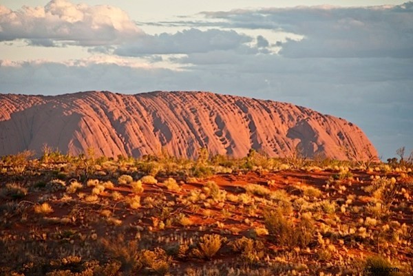 Expert Tips for Success in Microstock Photography