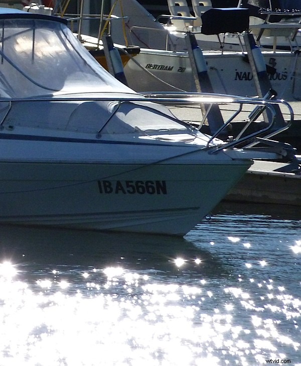 Leica V-Lux 20 Review: Expert Analysis of Premium Compact Superzoom