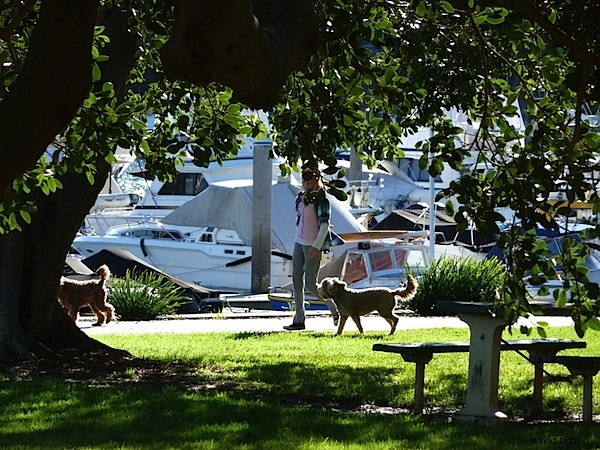 Leica V-Lux 20 Review: Expert Analysis of Premium Compact Superzoom