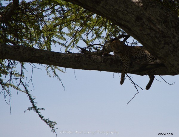 7 Expert Tips for Captivating Travel Photos That Wow Everyone