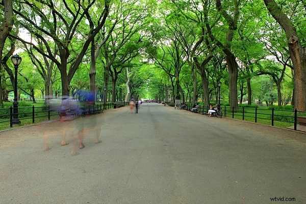 Capture Crowd-Free Architectural Shots in Busy Tourist Hotspots: Pro Tips