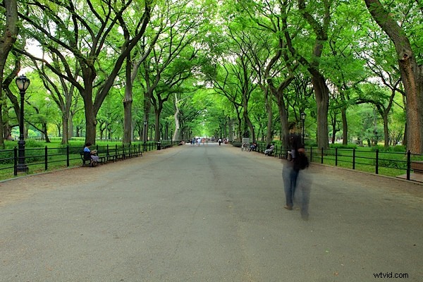 Capture Crowd-Free Architectural Shots in Busy Tourist Hotspots: Pro Tips