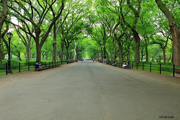 Capture Crowd-Free Architectural Shots in Busy Tourist Hotspots: Pro Tips