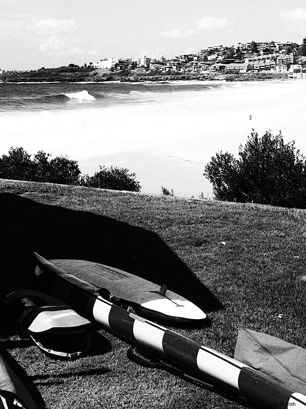 Olympus E-5 DSLR Review: In-Depth Analysis of Build, Performance & Four Thirds System