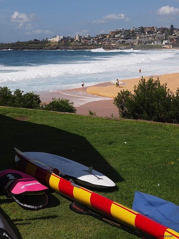 Olympus E-5 DSLR Review: In-Depth Analysis of Build, Performance & Four Thirds System