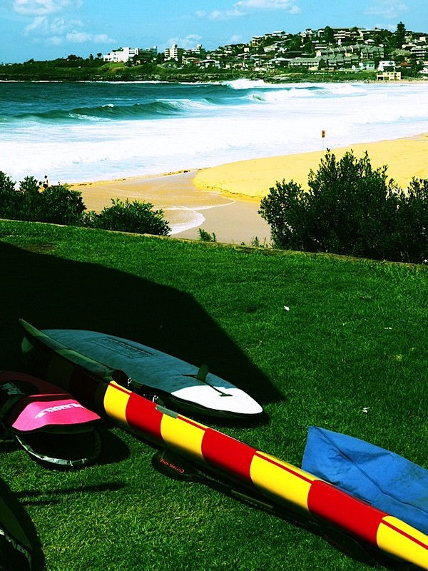 Olympus E-5 DSLR Review: In-Depth Analysis of Build, Performance & Four Thirds System