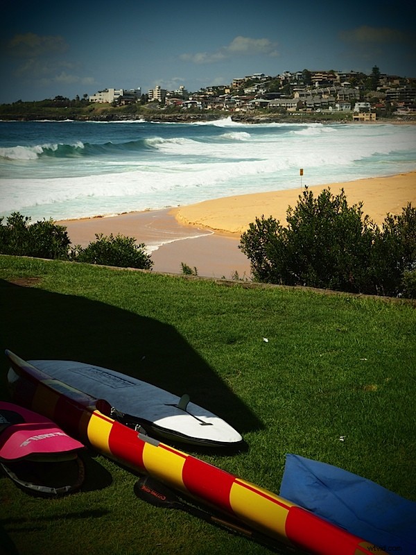 Olympus E-5 DSLR Review: In-Depth Analysis of Build, Performance & Four Thirds System