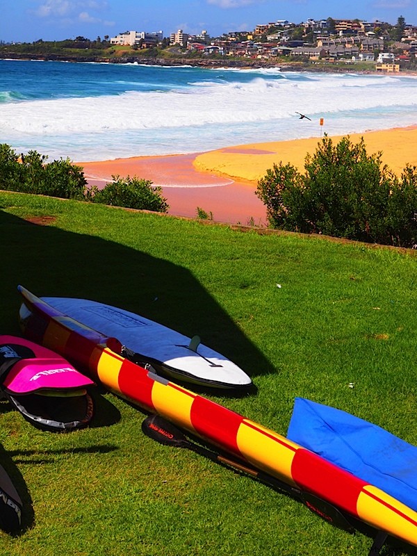 Olympus E-5 DSLR Review: In-Depth Analysis of Build, Performance & Four Thirds System