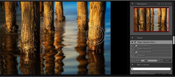 Nik Color Efex Pro vs. onOne Photo Tools: In-Depth Comparison for Photographers