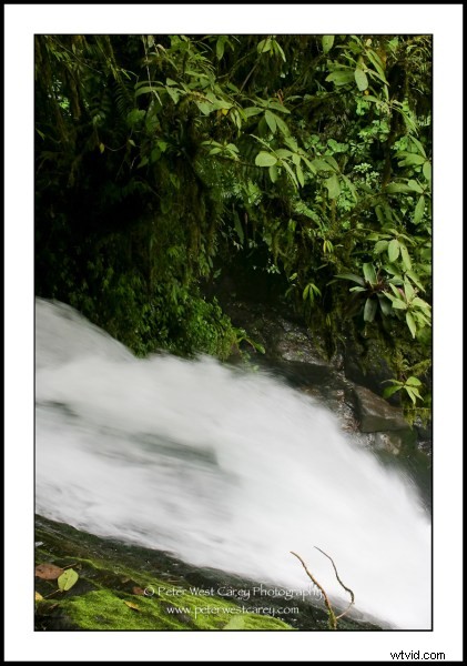 Master Slow Shutter Speeds: Shooting at 1/20th Second with 15 Stunning Examples