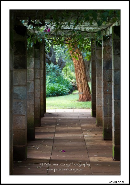 Master Slow Shutter Speeds: Shooting at 1/20th Second with 15 Stunning Examples