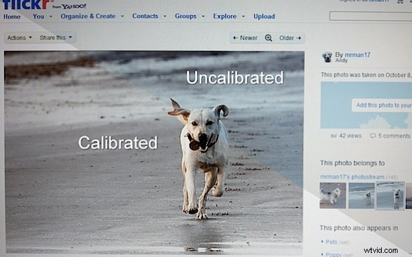 Step-by-Step Guide: How to Calibrate Your Monitor for Accurate Photo Editing
