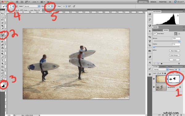 Expert Guide: How to Apply Textures to Elevate Your Photographs