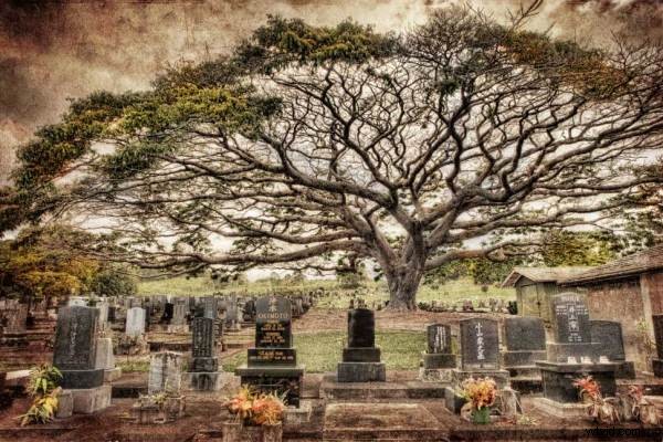 Expert Guide: How to Apply Textures to Elevate Your Photographs