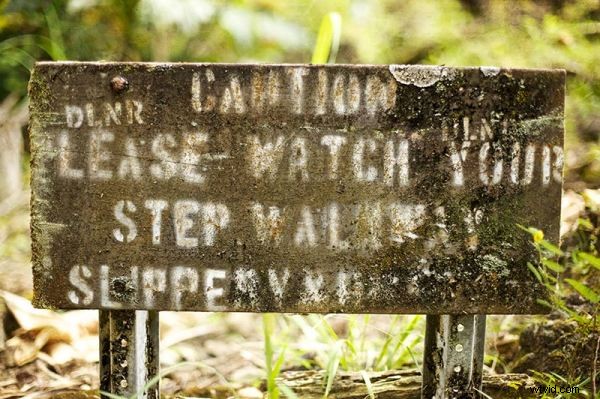 Expert Guide: How to Apply Textures to Elevate Your Photographs