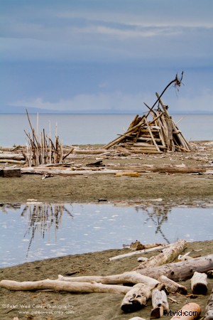 Why Your Smart Camera Pushes You Toward Average Photos