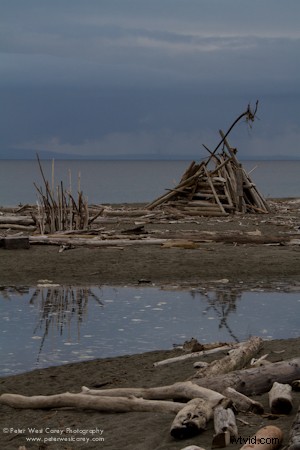 Why Your Smart Camera Pushes You Toward Average Photos