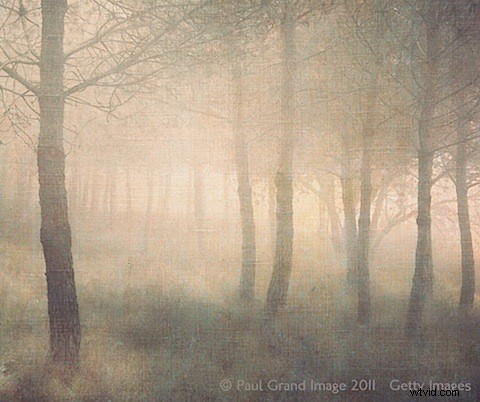 Expert Tips for Adding Texture to Photographs: Create Unique Masterpieces