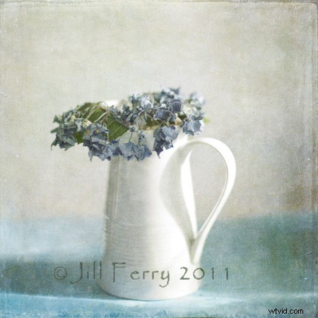 Expert Tips for Adding Texture to Photographs: Create Unique Masterpieces