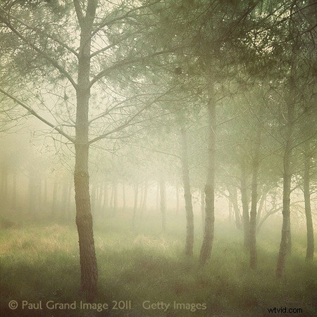 Expert Tips for Adding Texture to Photographs: Create Unique Masterpieces