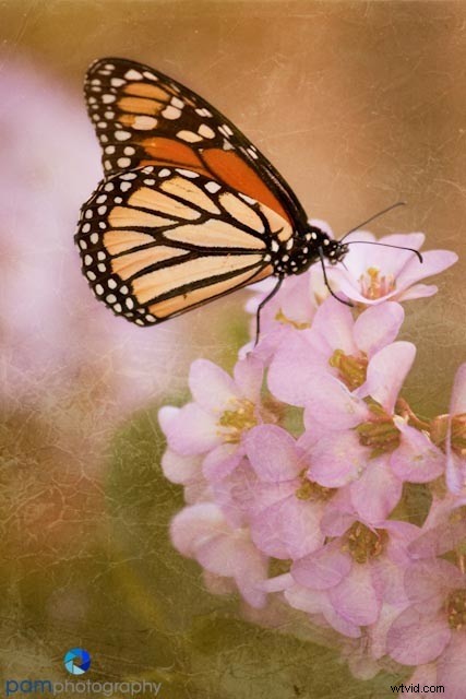 Expert Tips for Adding Texture to Photographs: Create Unique Masterpieces