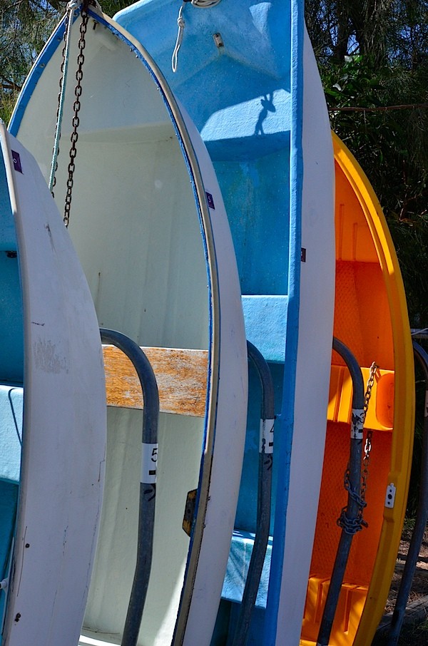 Nikon D7000 Review: Professional-Standard DX Camera Analyzed