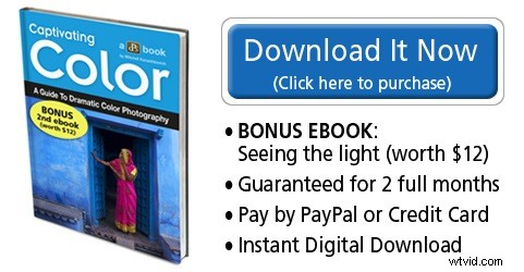 Mastering Color in Photography: Exclusive Interview with Expert Mitchell Kanashkevich