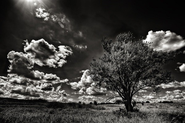 Master Black & White Photography: How HDR Elevates Monochrome Mastery
